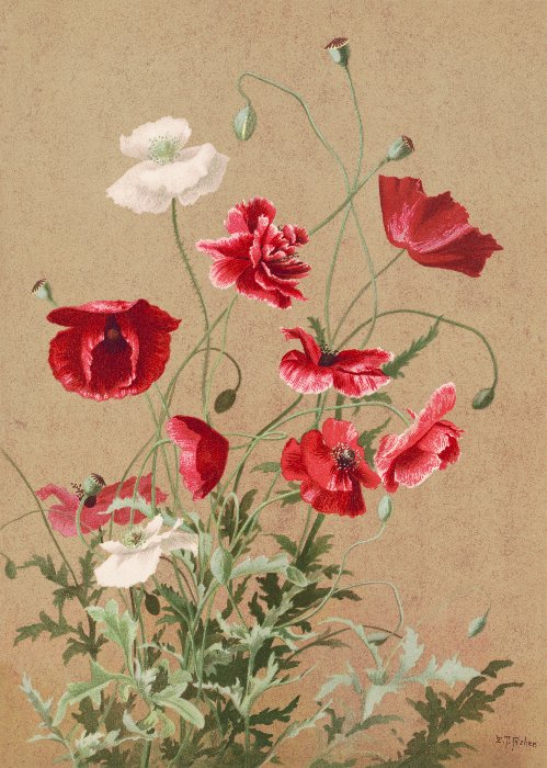 Poppies 1886 in high resolution by L. Prang and Co.